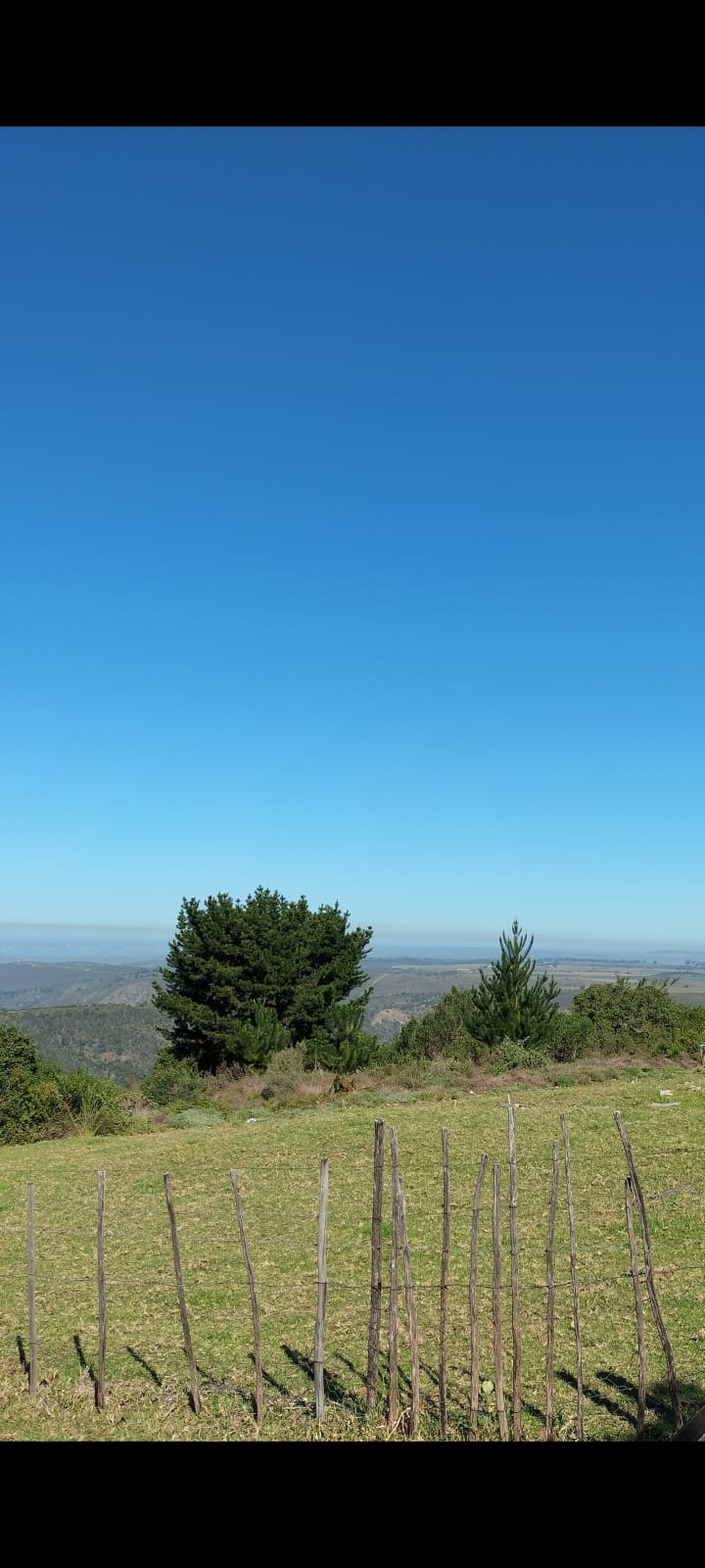 12 Bedroom Property for Sale in Friemersheim Western Cape